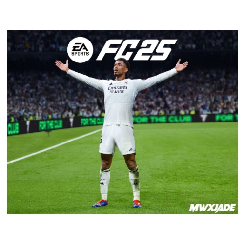  EA Sports FC 25 + PS4PS5